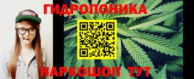 мескалин Кингисепп