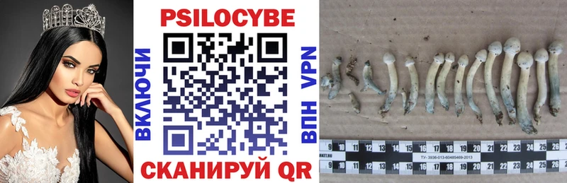Галлюциногенные грибы GOLDEN TEACHER Менделеевск