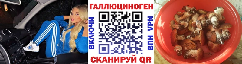 Галлюциногенные грибы Psilocybe  Менделеевск 