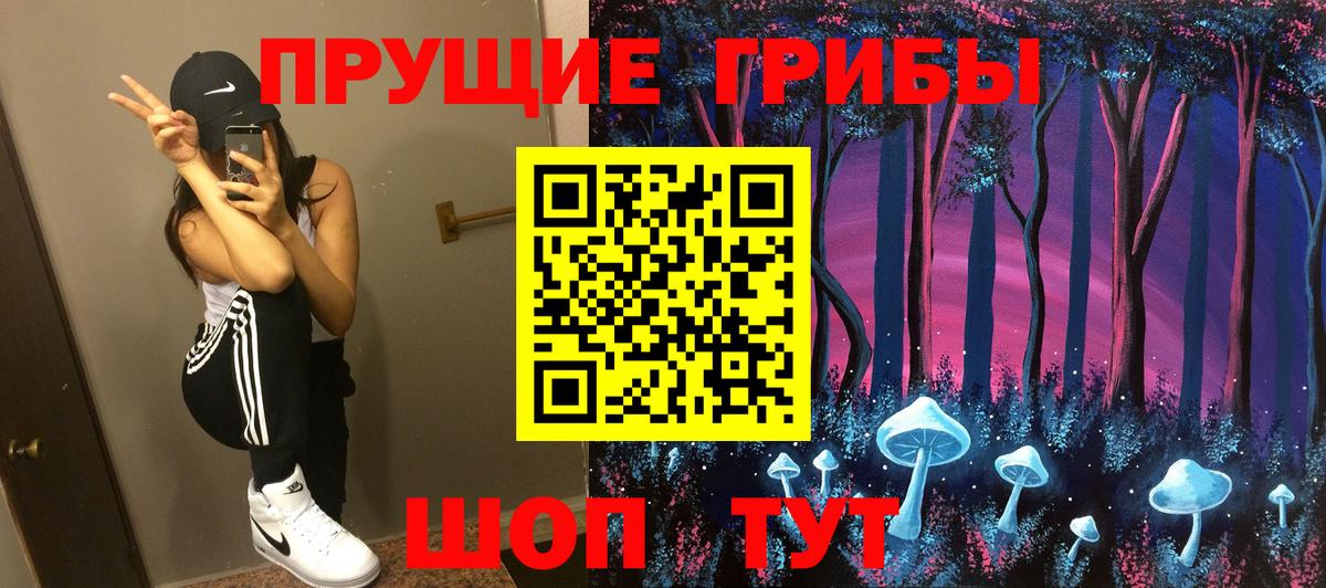 Псилоцибиновые грибы Cubensis Менделеевск